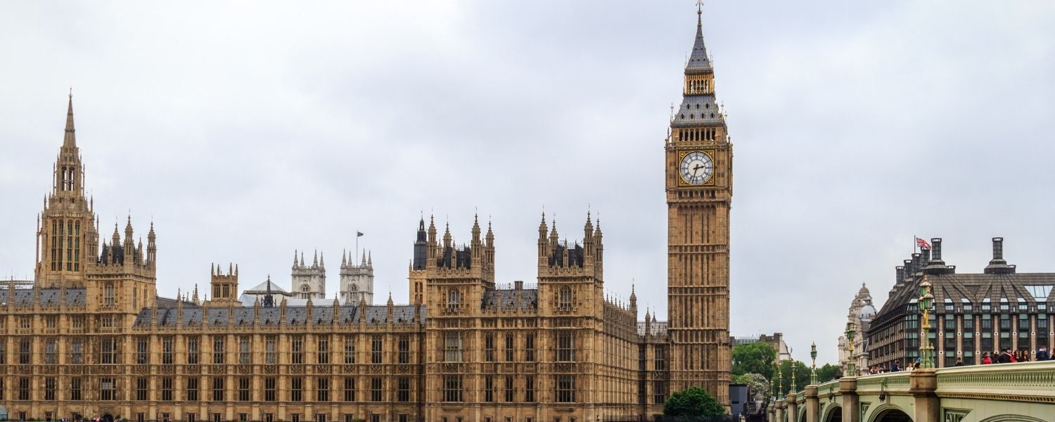 Campaigners march on Westminster in continued call for Statutory Public Inquiry into mental health care in Essex
